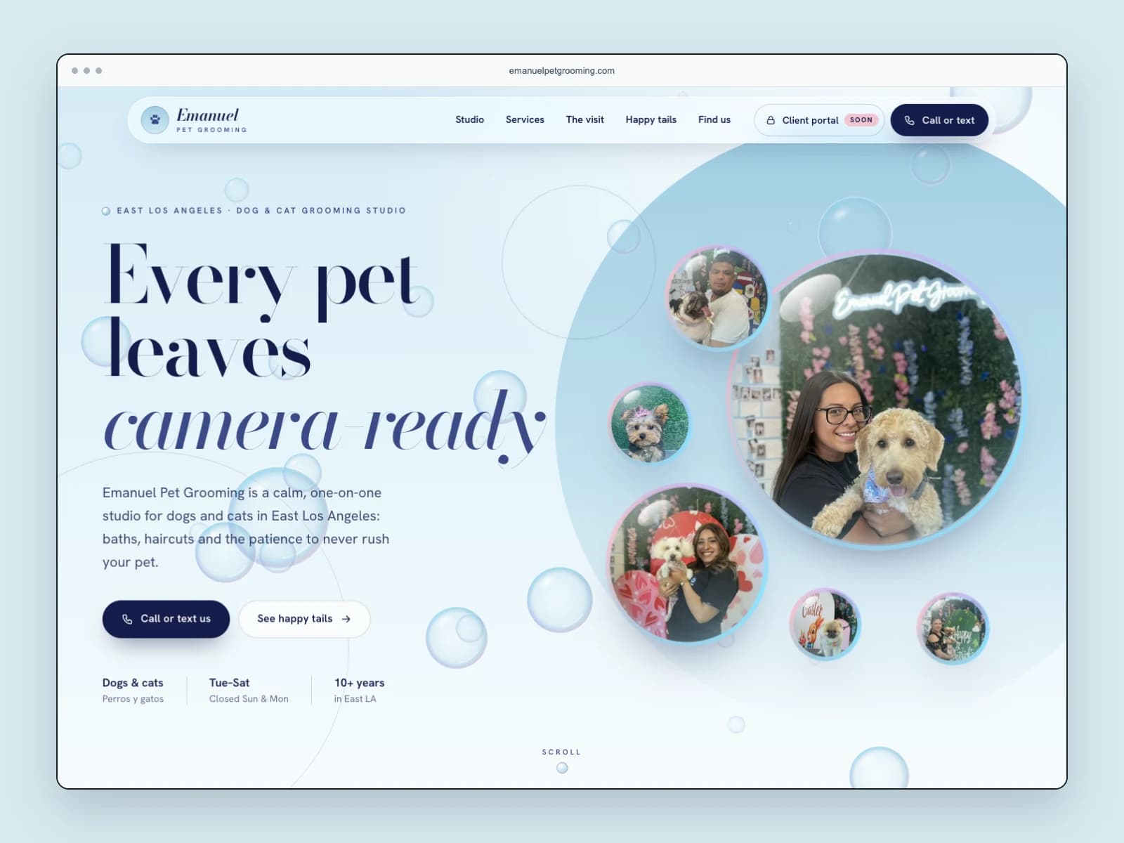 Emanuel Pet Grooming website with blue bubbles, studio photographs, and the headline Every pet leaves camera-ready